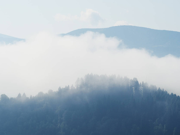Brouillard et brouillard au village dans les montagnes carpatiennes
 - Photo, image