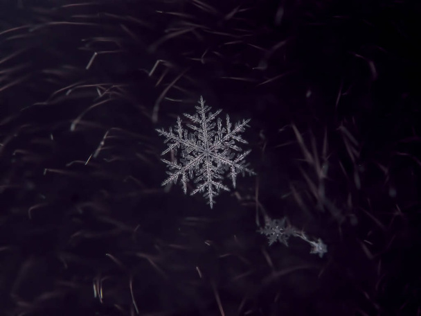 Schneeflocke schön auf dem bunten Hintergrund Makro - Foto, Bild