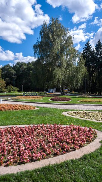 Trees and gardens at South Park in city of Sofia, Bulgaria - Photo, Image
