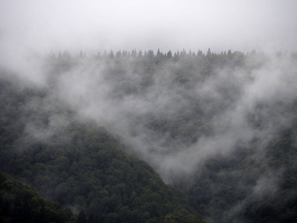 Nevoeiro e névoa na aldeia em montanhas carpatian
 - Foto, Imagem