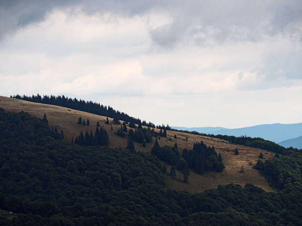 Carpatian mountains village at green forest  - Fotografie, Obrázek