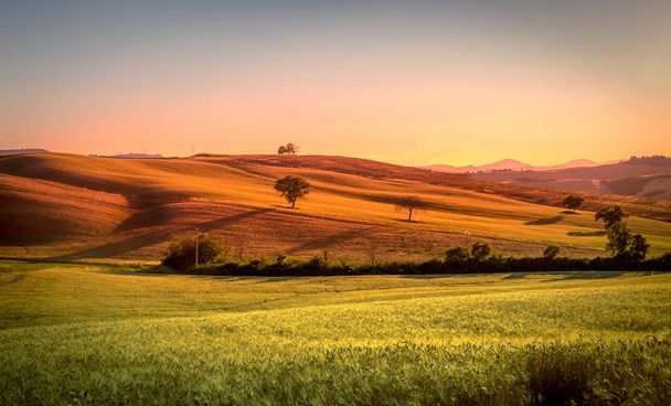 Upea maisema auringonlasku Toscanassa auringonlaskun aikaan, Italia
 - Valokuva, kuva