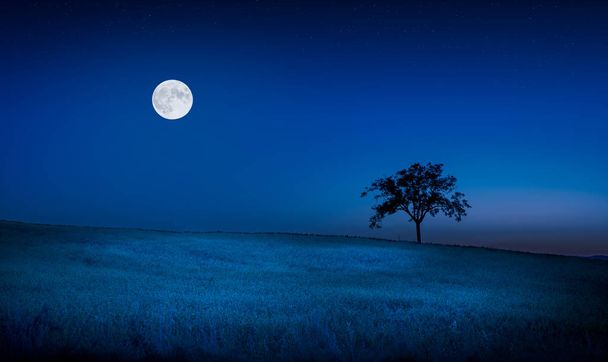 Moon and stars over tuscan meadow and lone tree - Photo, Image