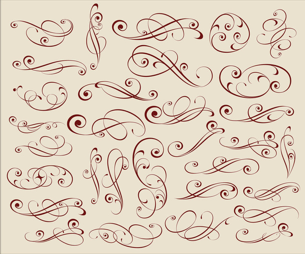 Kalligrafische elegante elementen van ontwerp. Vectorillustratie. - Vector, afbeelding