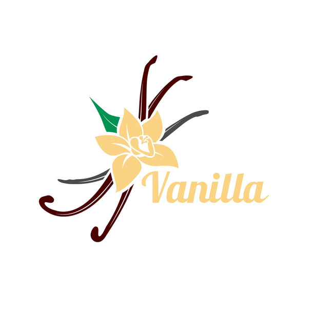 Vanilla flower and pods. Vector icon silhouette isolated on white background. Aromatic spice organic logo illustration. - Vector, Image