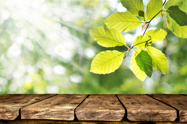 leerer Holztisch mit unscharfem natürlichen Hintergrund - Foto, Bild