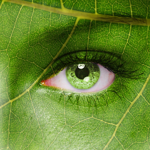 Leaf texture on human face. Ecology concept. - Photo, Image