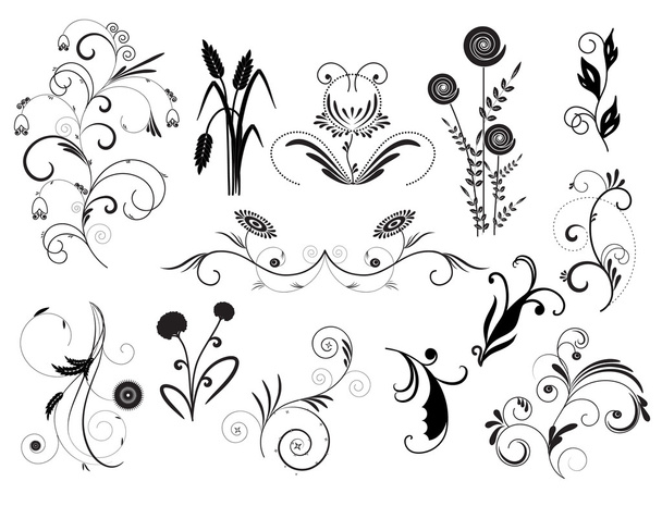 conjunto de elementos florales - Vector, Imagen