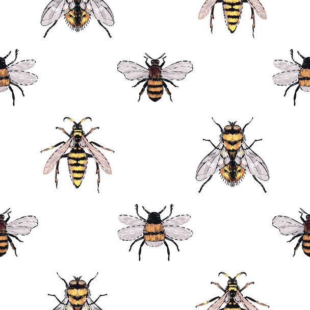 fondo blanco con insectos, ilustración vectorial
 - Vector, Imagen