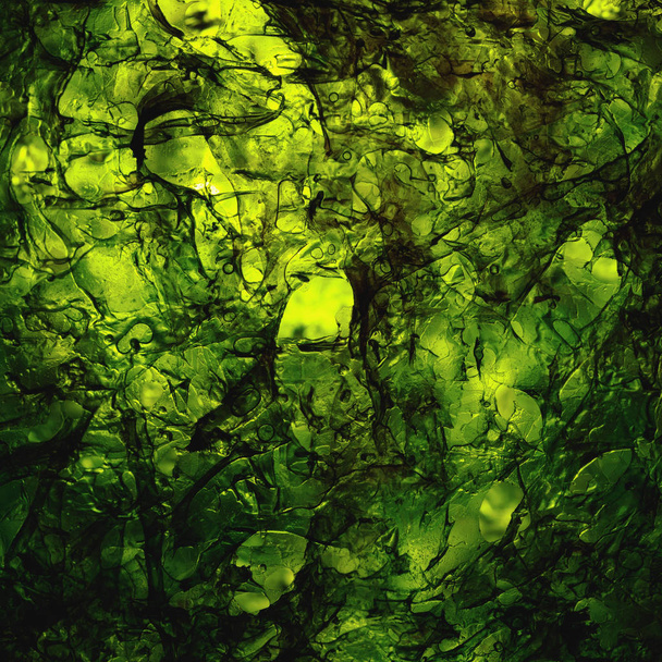 gedroogde nori zeewier laminaria blad verlicht textuur - Foto, afbeelding