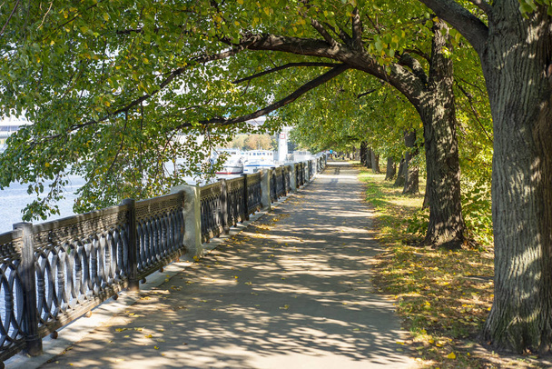 Moscow region, város gyönyörű Park trees.the Embankment Tarasz Sevcsenko. - Fotó, kép