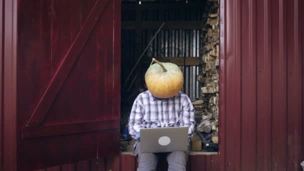 Successful freelancer with pumpkin on head - Footage, Video