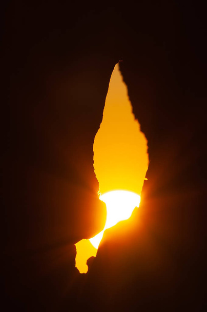 Встановлення сонця, що сяє, забита вузькою щілиною в дереві
 - Фото, зображення