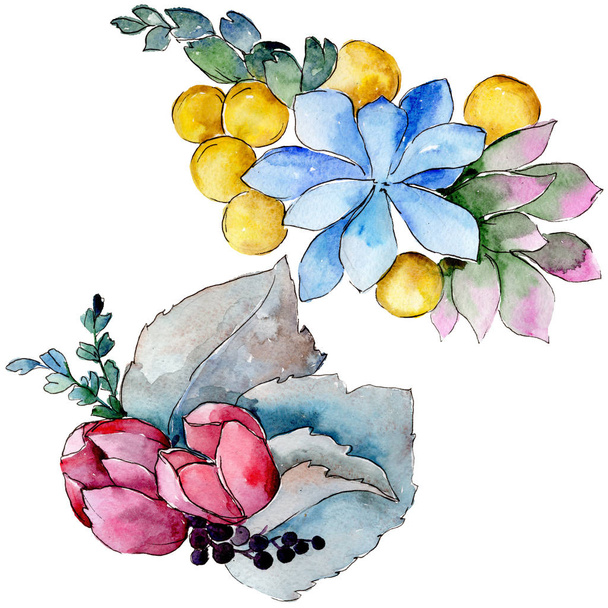 Watercolor colorful tropical bouquet flower. Floral botanical flower. Isolated illustration element. Aquarelle wildflower for background, texture, wrapper pattern, frame or border. - Fotoğraf, Görsel
