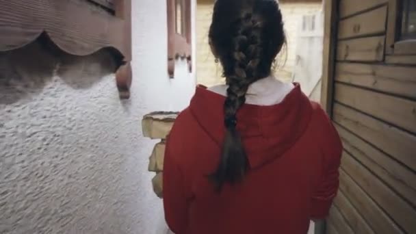 Γυναίκα που φέρνει μια αγκαλιά των καυσόξυλων - Πλάνα, βίντεο