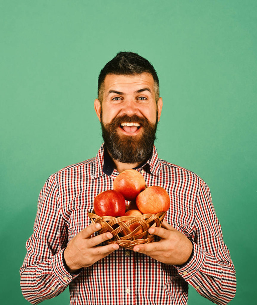 Farmer with cheerful face holds red apples. Gardening and crops - Foto, afbeelding