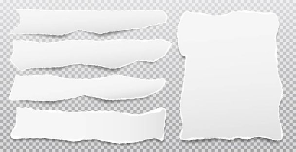 Tiras rasgadas horizontales blancas, nota, papel de cuaderno para texto o mensaje sobre fondo gris cuadrado
 - Vector, imagen