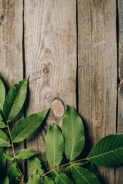 pohled shora krásné zelené ořechové listy na dřevěný stůl  - Fotografie, Obrázek