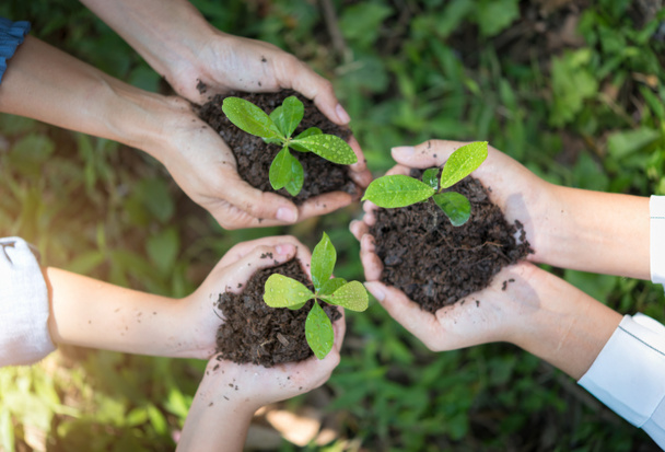 Lidé rukou skupiny zasadit semínko v půdě zemědělství na přírodní zelené pozadí, rostoucí rostliny koncept - Fotografie, Obrázek