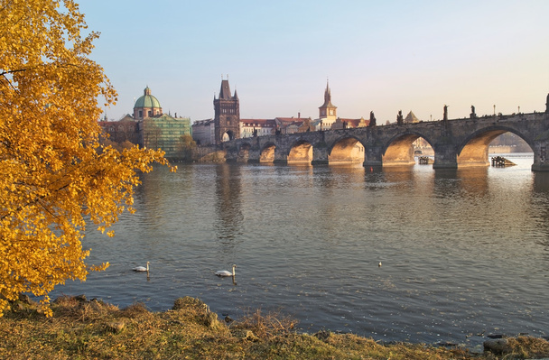 Φθινοπωρινό τοπίο με θέα την γέφυρα του Καρόλου στην Πράγα - Φωτογραφία, εικόνα