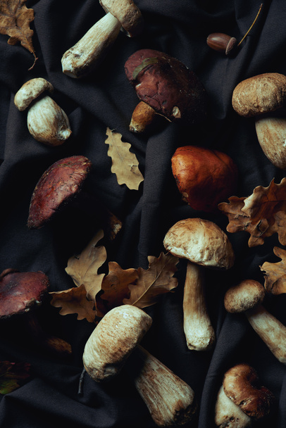 top view of various raw edible mushrooms and dry leaves on black fabric - Photo, Image