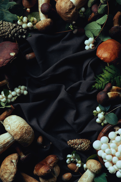 top view of various raw edible mushrooms on black fabric - Fotoğraf, Görsel