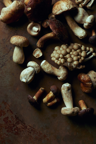 top view of various raw edible mushrooms on dark grunge background  - Photo, Image