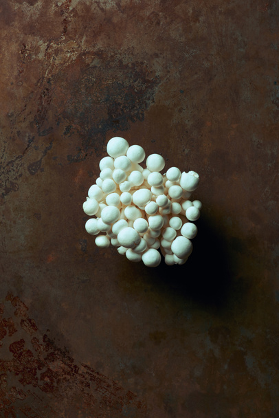 top view of fresh raw edible shimeji mushrooms on dark grunge surface  - Фото, изображение