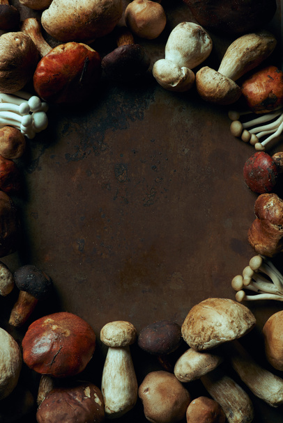 top view of assorted fresh raw edible mushrooms on dark background - Foto, Imagem