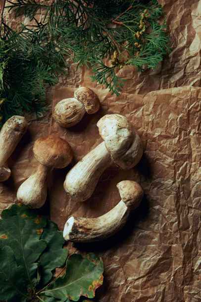 верхний вид свежих грибов boletus edulis и зеленых листьев
   - Фото, изображение