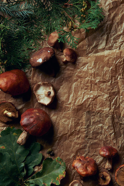 верхний вид свежих грибов и зеленых листьев
   - Фото, изображение