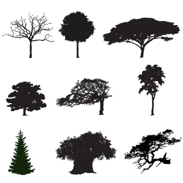 silhouettes of trees - Vector, Image