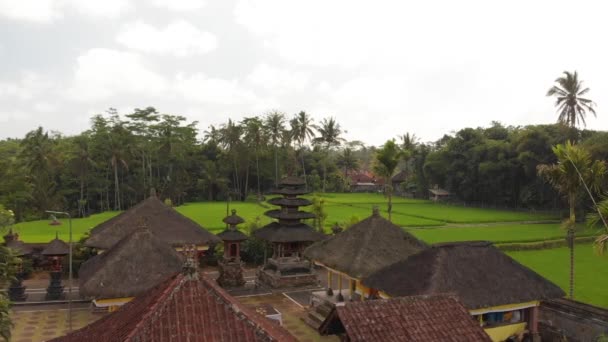 4k luchtfoto flying video van balinese Tempel onder rijstvelden. Tropische eiland Bali. Prachtige tempel. - Video