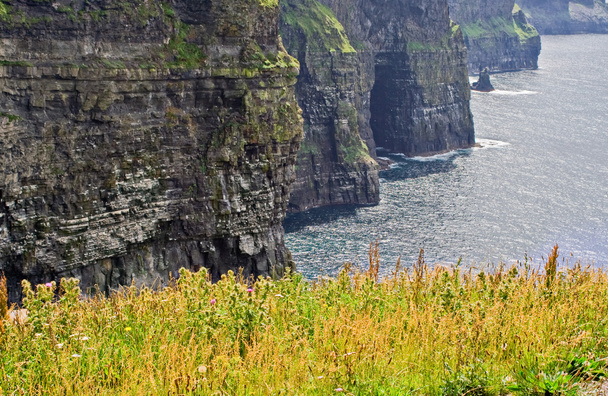 Cliffs of Moher - Photo, Image