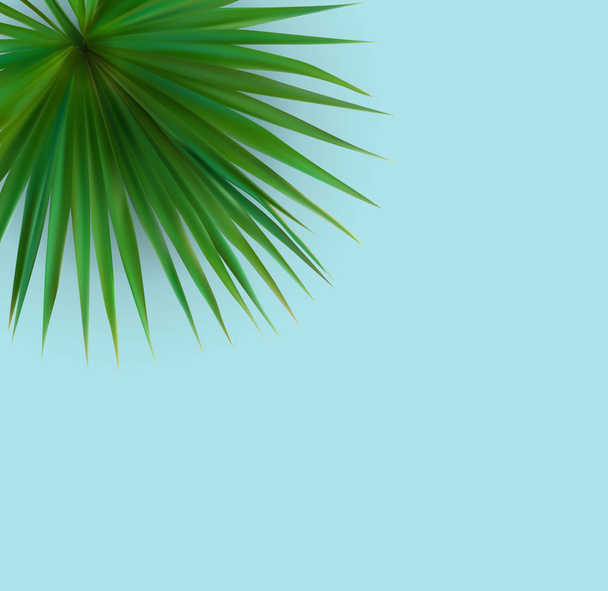 Beautiful Palm Leaf Tropical Background. Vector Illustration - Vector, Image