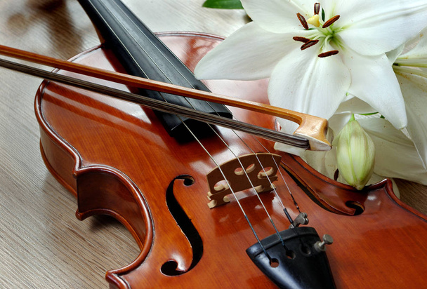 скрипка и лилия на деревянном фоне. close up
 - Фото, изображение