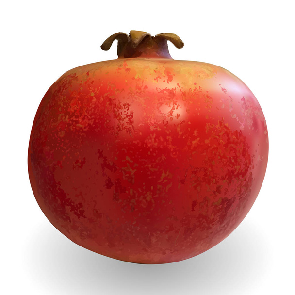 realistische 3D-Vektorillustration bunt süß reifer Granatapfel - Vektor, Bild