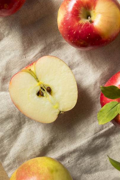 Raw Organic Red Apples Ready to Eat - Фото, изображение