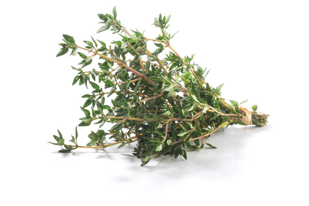 Свежая зелень тимьяна (Thymus vulgaris) shrub. Прекрасная трава. Изолированный на белом фоне
. - Фото, изображение