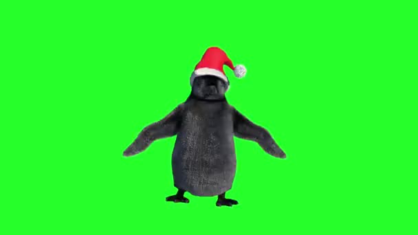 rajzfilm pingvineket táncolni öltözött karácsonyi kalap zöld háttér - Felvétel, videó