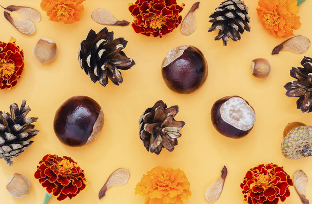 κάστανα, κουκουνάρια, βατόμουρα, φουντούκια και σπόροι σφενδάμνου σε πορτοκαλί φόντο - Φωτογραφία, εικόνα