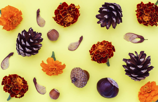castañas, conos de pino, moras, avellanas y semillas de arce sobre un fondo amarillo
 - Foto, imagen