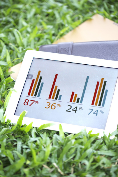 Tablet of business growing chart on grass with books - Foto, Bild