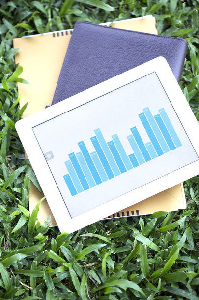 Tablet of business growing chart on grass with books - Zdjęcie, obraz