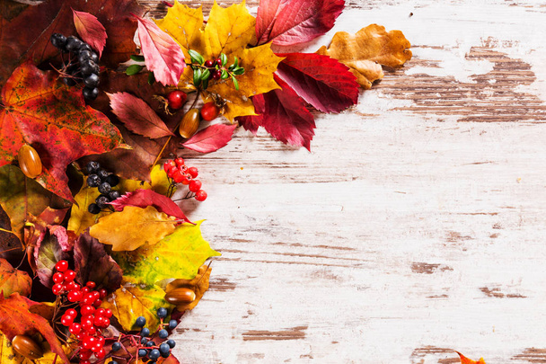 Autumn fall leaves background season design concept - Φωτογραφία, εικόνα
