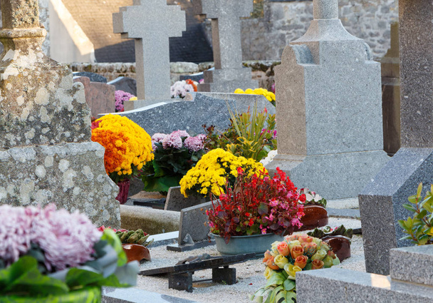 Цвинтар з хризантемами на надгробних плитах на День усіх святих. - Фото, зображення