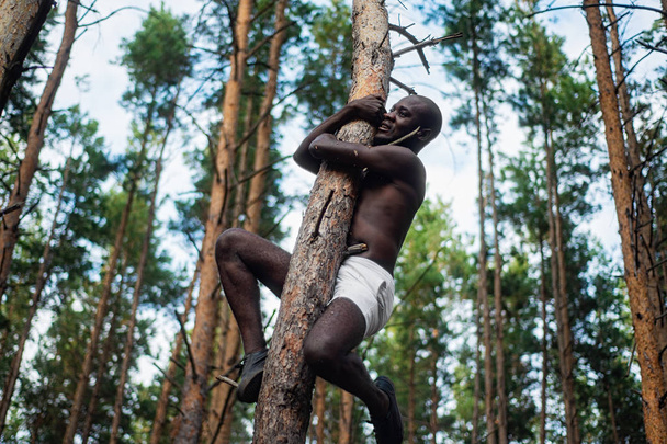 Male black with no shirt climbs a tree in the woods - Zdjęcie, obraz