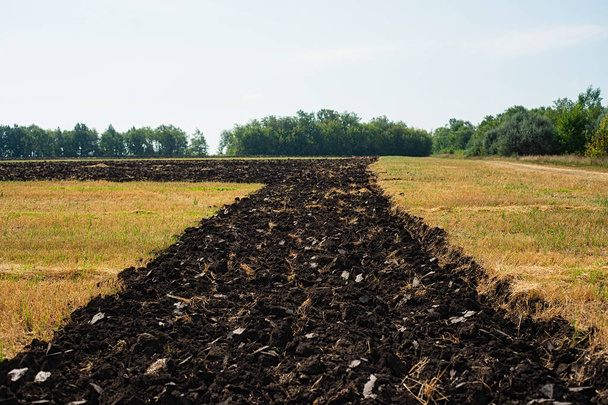 The band dug the black earth for planting. Earthworks, agriculture - Foto, imagen