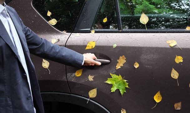 mano del hombre sostiene la manija de la puerta del coche, follaje amarillo del otoño y gotas de agua en el cuerpo del coche, tiempo lluvioso
 - Foto, Imagen
