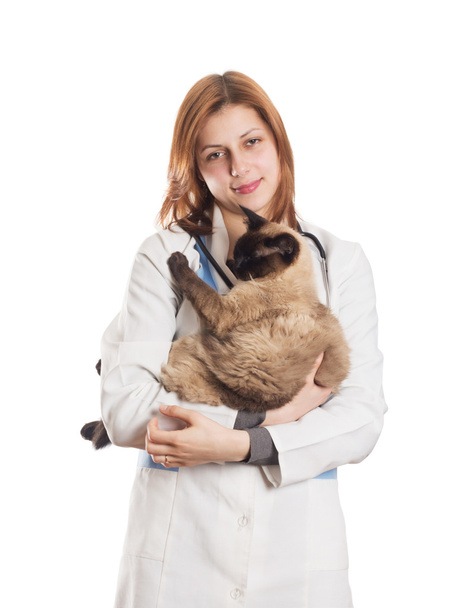 Tierärztin mit einer siamesischen Katze im Arm - Foto, Bild